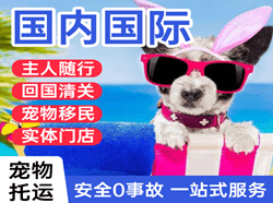 三明沙县航空运输国际宠物托运 【国